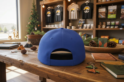 Blue Cap Back Side
